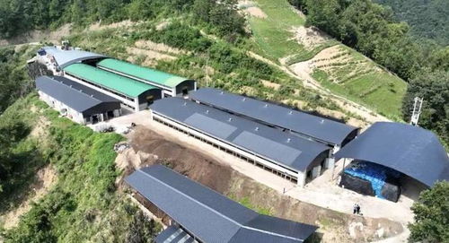 2024年安康畜牧漁業(yè)產(chǎn)業(yè)發(fā)展規(guī)劃與展望 聚焦飼料核心，驅(qū)動產(chǎn)業(yè)升級