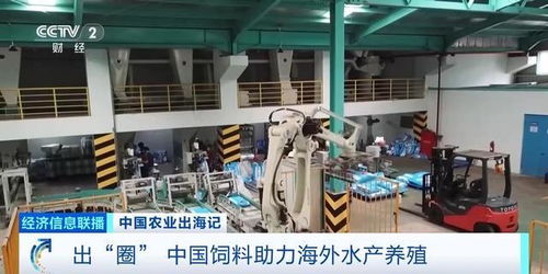 油菜籽扎根巴基斯坦，飼料游進(jìn)越南蝦塘 中國農(nóng)業(yè)這樣出海