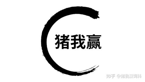 豬我贏飼料模式 高效養(yǎng)殖，助力畜牧業(yè)高質(zhì)量發(fā)展